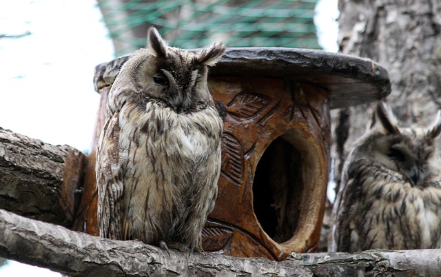 三步让资